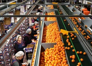 Η πανδημία ενίσχυσε τον κλάδο των τροφίμων