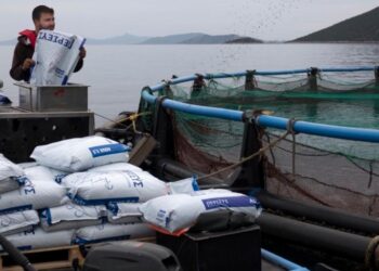 Το 100% της Περσεύς στην Andromeda Seafood