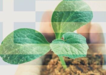 Η επόμενη ημέρα των μικροχρηματοδοτήσεων στην Ελλάδα είναι γεγονός