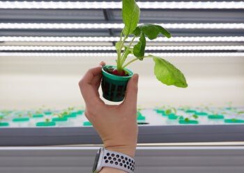 €3,3 εκατομμύρια για την ανάπτυξη της iFarm Growtune
