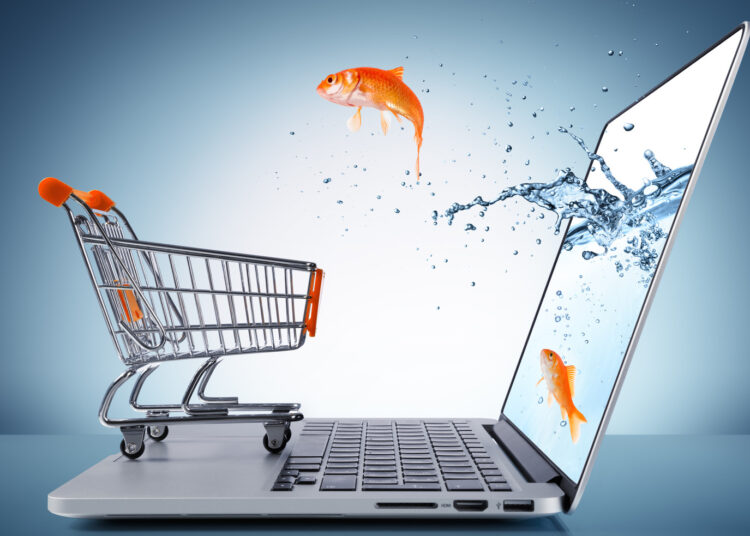 H «χρυσή» ευκαιρία του e-commerce