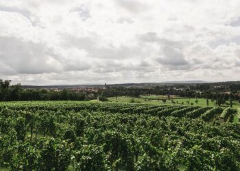 Μια νέα πλατφόρμα crowdfunding έρχεται να ενισχύσει τους αγρότες και στην Ελλάδα!