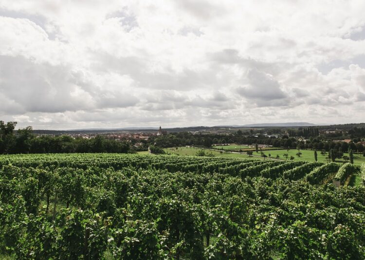 Μια νέα πλατφόρμα crowdfunding έρχεται να ενισχύσει τους αγρότες και στην Ελλάδα!