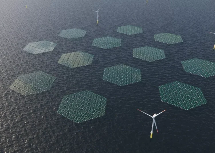 RWE: Βάζει και πλωτά φωτοβολταϊκά σε υπεράκτιο αιολικό