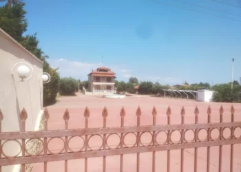 Πλειστηριασμοί: Hχηρά σφυριά για Μουζενίδη, Τζανετάτο, Πολίτη και Μουρτζούχο (pics)