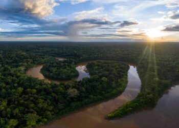 Η GreenTrade κερδίζει νέα χρηματοδότηση για τη δημιουργία πιστώσεων άνθρακα με βάση τη φύση