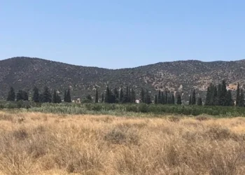 Plepi Land Development: Η στρατηγική επένδυση των 119 εκατ. ευρώ και το σφυρί για 68.307 ευρώ (pics)