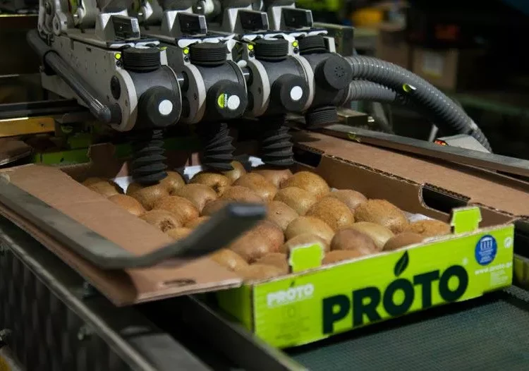 Protofanousi Fruits – PROTO: Ο «άγνωστος» πρωταθλητής των ελληνικών εξαγωγών (pics)
