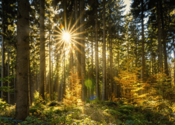 Η Verna εξασφαλίζει πρόσθετη χρηματοδότηση για να θέσει την τεχνολογία της φύσης στο προσκήνιο