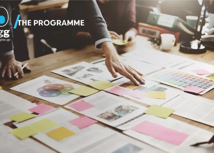 10 χρόνια egg: Η ασπίδα και το ξίφος των ελληνικών startups