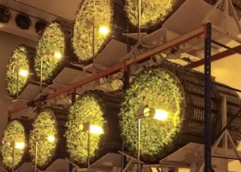 Η γαλλική startup Futura Gaïa εξασφαλίζει 11 εκατ. ευρώ για το μέλλον της κάθετης αγροκαλλιέργειας