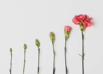 Το ταξίδι χρηματοδότησης μιας startup – Ένας οδηγός για τη χρηματοδότηση pre-seed, seed, σειρών Α, Β, Γ, Δ και Ε