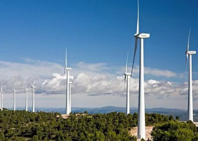 ΕΛΕΤΑΕΝ: H αιολική ενέργεια προστατεύει τη βιοποικιλότητα