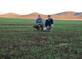 Το «χρυσό» deal της ελληνικής Augmenta με τη δυναστεία των Ανιέλι