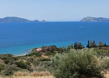 Δημήτρης Κοντομηνάς: Το μυθικό κτήμα στην Αργολίδα «αναζητά» αγοραστή – Αντίστροφη μέτρηση για τον πλειστηριασμό (pics)