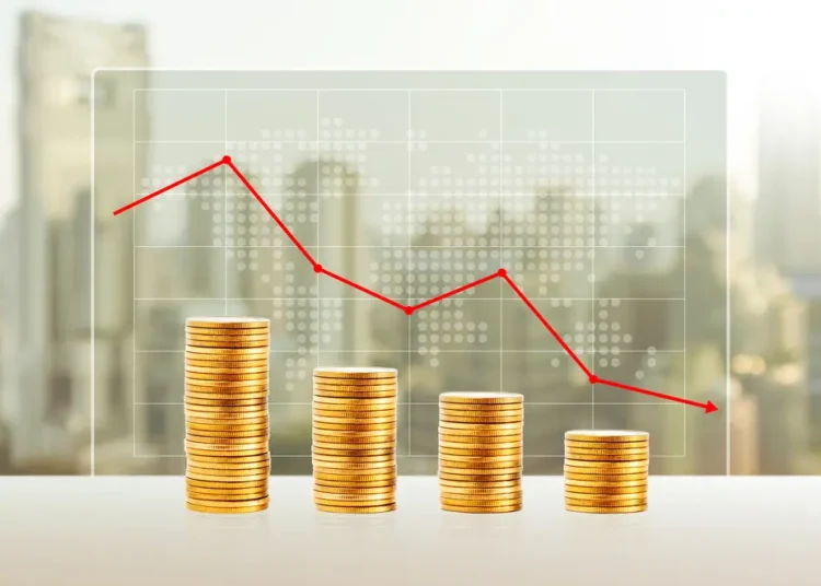 Το Venture Fund της Tiger Global, ύψους 12,7 δις δολαρίων, σημείωσε πτώση 20%