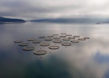 To ναυάγιο της Avramar και τα δάνεια των 450 εκατ. ευρώ που τρομάζουν τις τράπεζες