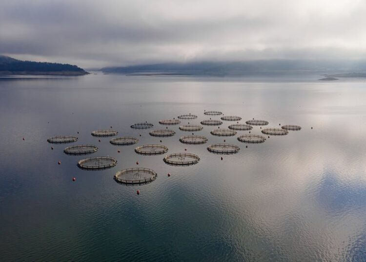 To ναυάγιο της Avramar και τα δάνεια των 450 εκατ. ευρώ που τρομάζουν τις τράπεζες