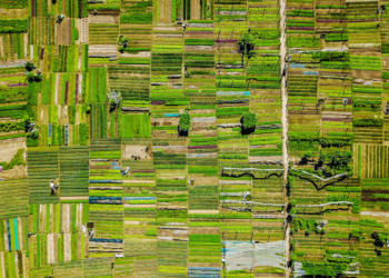 Η Startup Finres συγκεντρώνει 4,1 εκατ. ευρώ για τη λήψη καλύτερων αποφάσεων για γεωργικές επενδύσεις