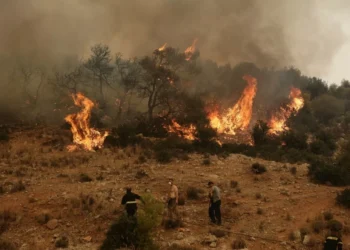 Τιτάνιες προσπάθειες να περιοριστεί η φωτιά στη Μαγνησία