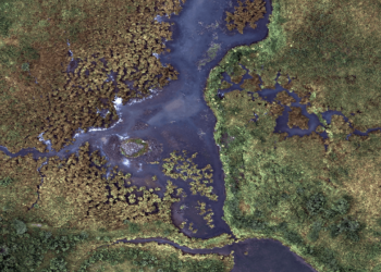 Ο πάροχος δεδομένων άνθρακα του Λονδίνου Sylvera συγκεντρώνει 57 εκατομμύρια δολάρια