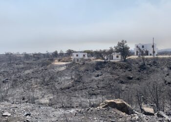 Τεράστια οικολογική καταστροφή στη Ρόδο. 135 χιλιάδες στρέμματα “καθαρού” δάσους έγιναν στάχτη