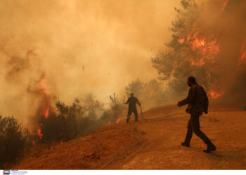 «Μία από τις πλέον καταστροφικές χρονιές των τελευταίων 15 ετών»