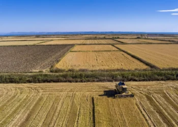 ΕΛΣΤΑΤ: Αύξηση 30,6% στα αγροτικά εισοδήματα τον Ιούνιο 2023 – Πού οφείλεται