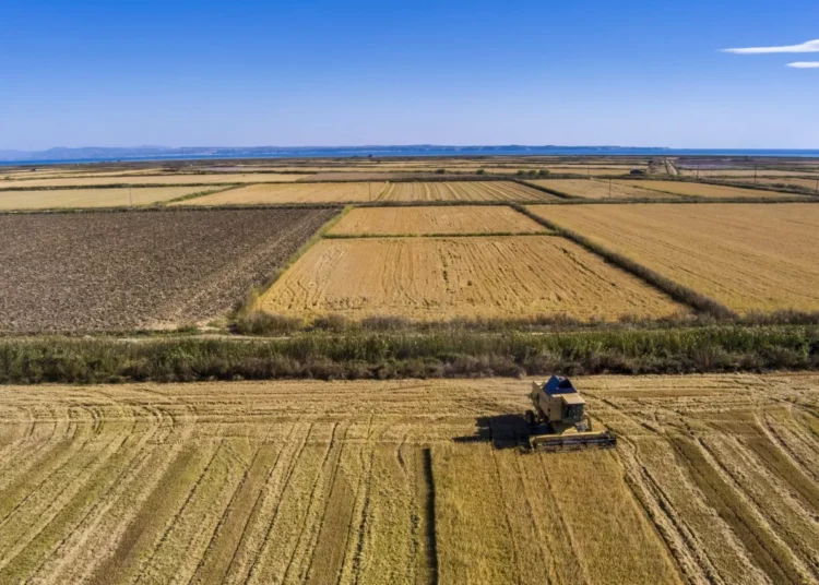 ΕΛΣΤΑΤ: Αύξηση 30,6% στα αγροτικά εισοδήματα τον Ιούνιο 2023 – Πού οφείλεται