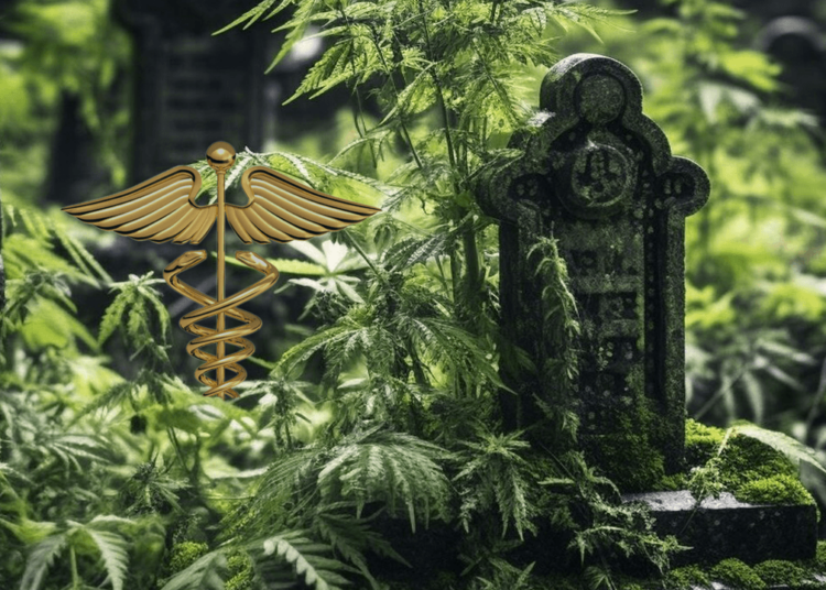 Το 80% των νεοσύστατων επιχειρήσεων ιατρικής κάνναβης της Γερμανίας πρόκειται να πεθάνουν με οδυνηρό θάνατο