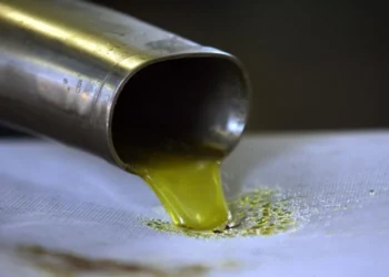 Αγρότες: Το ακριβό ελαιόλαδο και τα φρούτα αύξησαν 30,6% τα εισοδήματά τους τον Ιούνιο