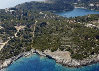 Βασίλης Γκρίσιν: Μετά το «κανόνι», το σφυρί για 2 οικόπεδα στη «νησίδα του Ανιέλι» στους Παξούς (pics)