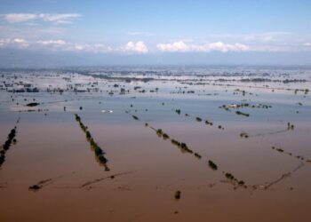 Alpha Bank: Το 5,2% του ΑΕΠ παράγει η Θεσσαλία – Οι επιπτώσεις από τις πλημμύρες