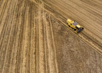 Aίγυπτος: Αγοράζει 500.000 τόνους ρωσικού σιταριού σε χαμηλότερη τιμή