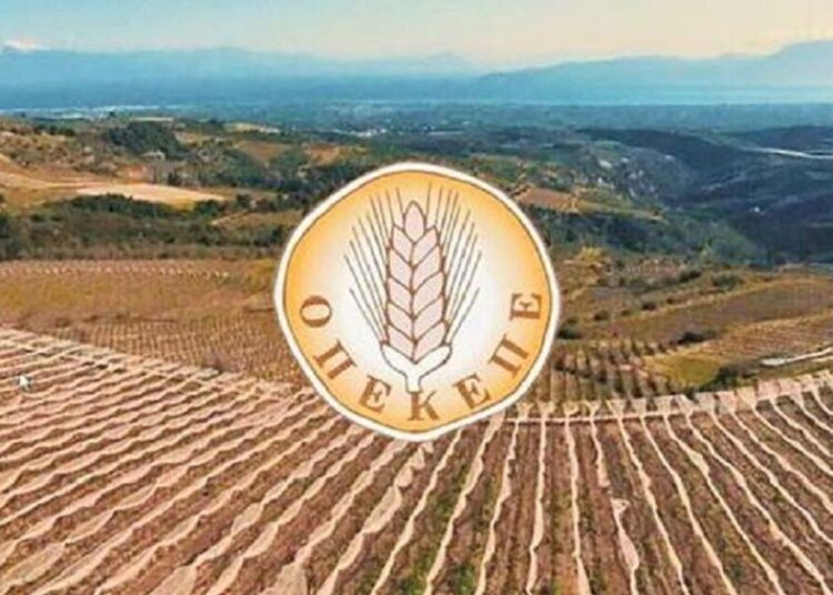 ΟΠΕΚΕΠΕ: Καταβολή 16 εκατ. ευρώ σε 105.000 δικαιούχους