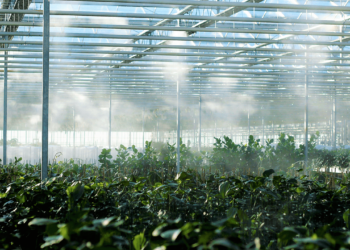 Η επένδυση 200 εκατ. ευρώ της Technique Solaire ενισχύει τις υποδομές ηλιακής ενέργειας και βιοαερίου