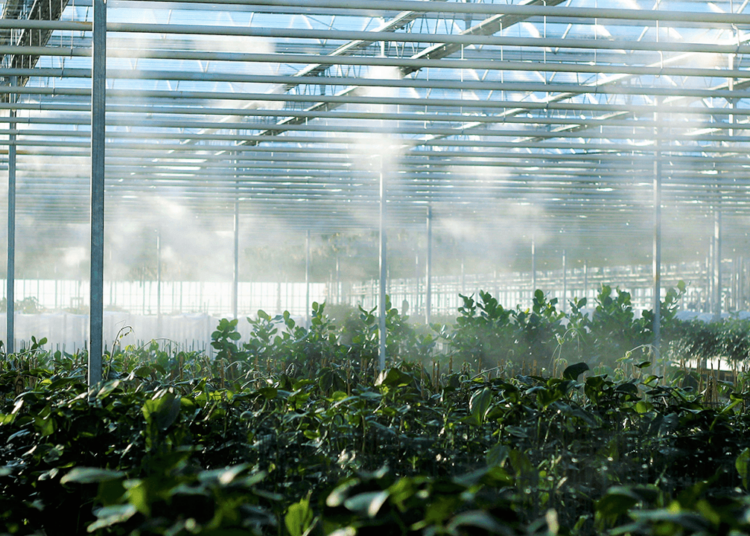 Η επένδυση 200 εκατ. ευρώ της Technique Solaire ενισχύει τις υποδομές ηλιακής ενέργειας και βιοαερίου