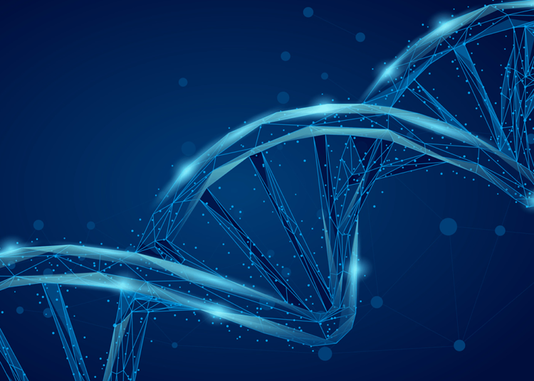 Η αυστριακή βιοτεχνολογία HeartBeat.bio εξασφαλίζει 4,5 εκατ. ευρώ για την πλατφόρμα ανακάλυψης καρδιοειδών φαρμάκων