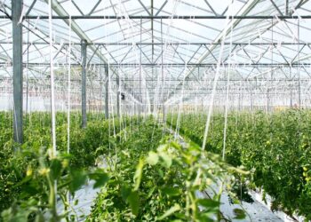 Η Supernova Invest και η Crédit Agricole εγκαινιάζουν ταμείο αγροτικής τεχνολογίας ύψους 60 εκατ. ευρώ