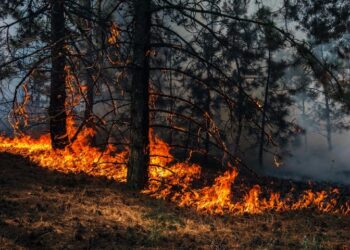 ΤτΕ: Στα 2,2 δισ. ευρώ ετησίως το κόστος της κλιματικής αλλαγής για τη χώρα